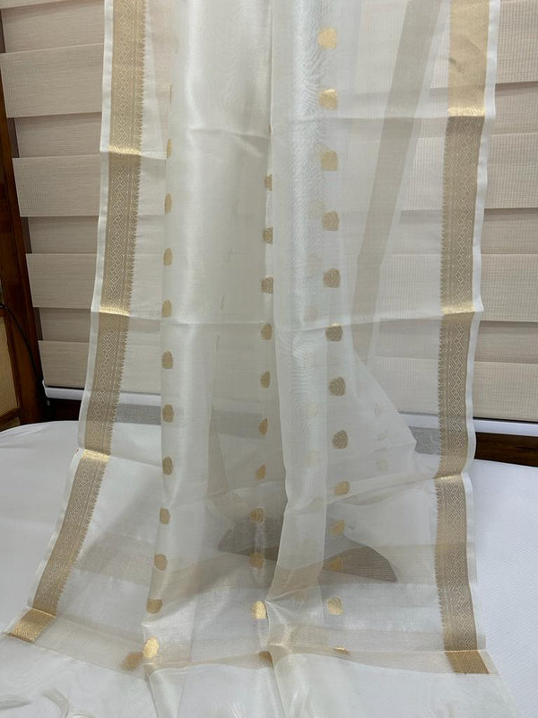 PURE ORGANZA SILK BORDER BOOTI DYABLE DUPATTA