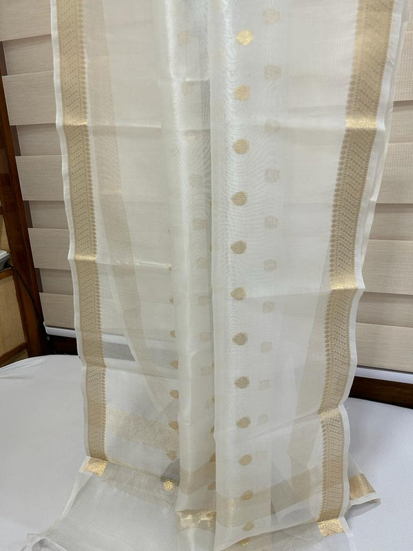 PURE ORGANZA SILK BORDER BOOTI DYABLE DUPATTA