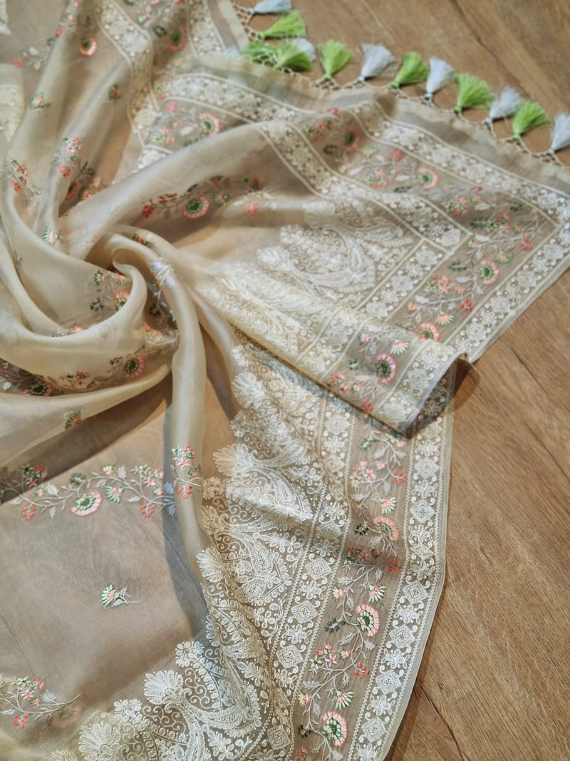 Exclusive Pure Organza Silk Saree With Multi thread Embroidery |LIMITED EDITION|