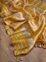 Pure organza double tissue saree with katan silk border and blouse with special tassels