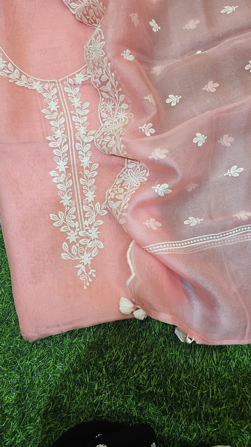 Beautiful pure banarasi organza unstitched suit with Embroidery and cutwork