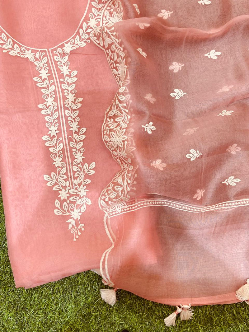 Beautiful pure banarasi organza unstitched suit with Embroidery and cutwork