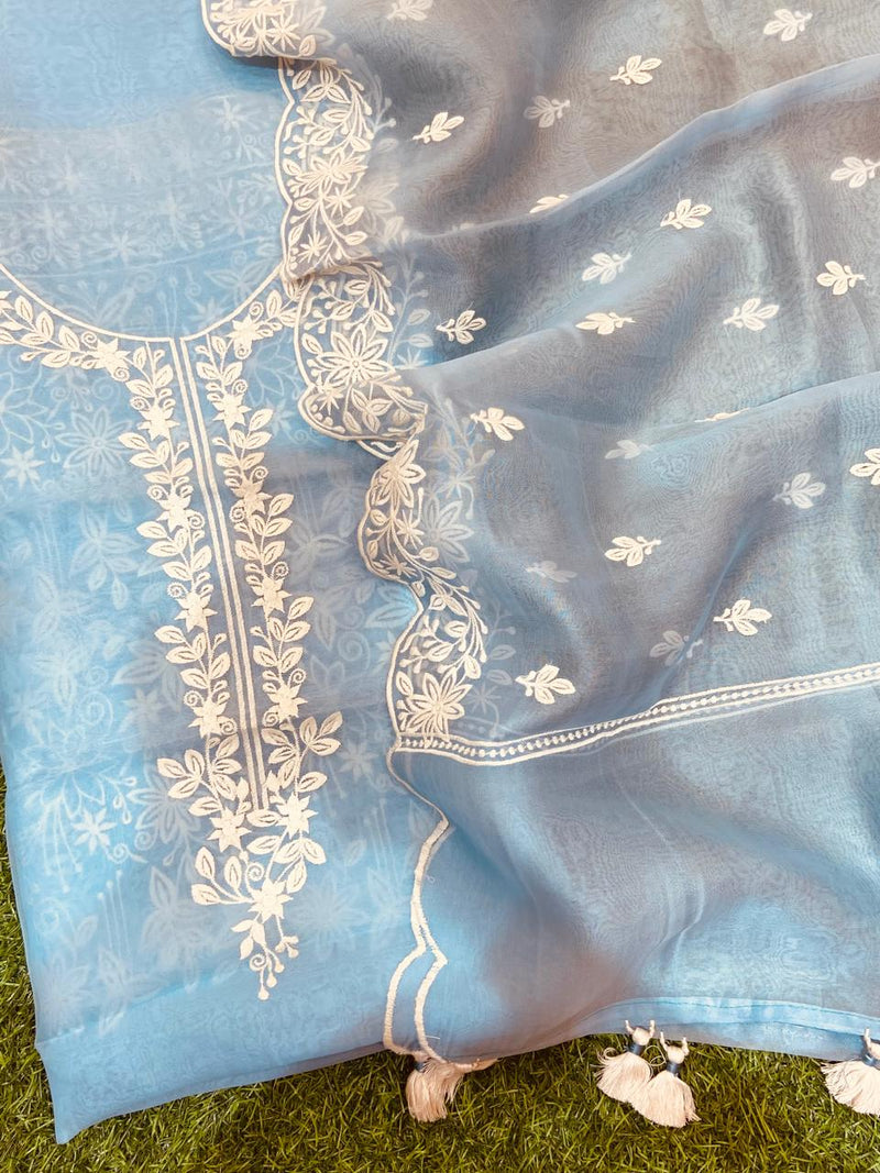 Beautiful pure banarasi organza unstitched suit with Embroidery and cutwork