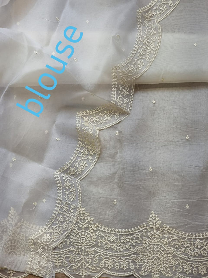 Pure Organza Silk Saree With Pearl Border