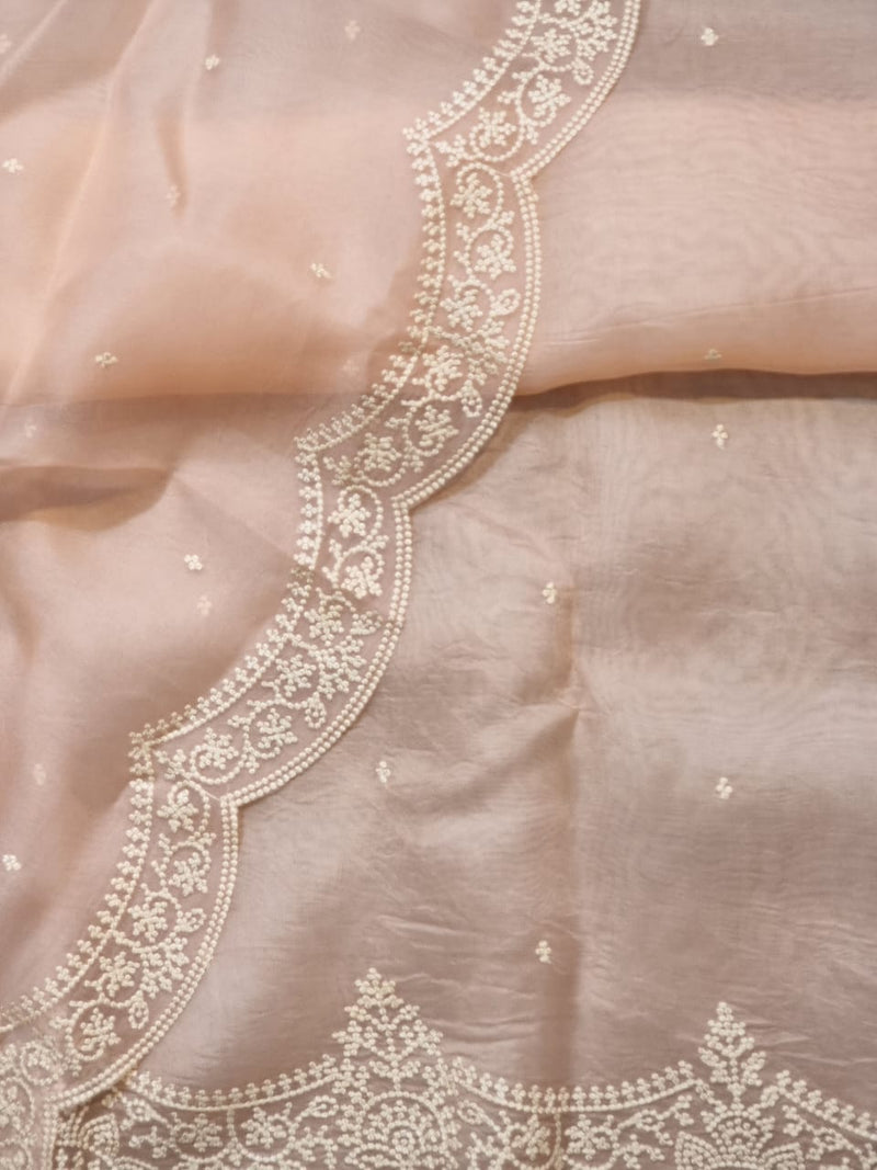 Pure Organza Silk Saree With Pearl Border