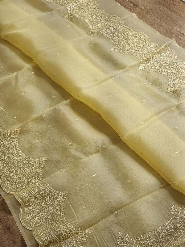 Pure Organza Silk Saree With Pearl Border