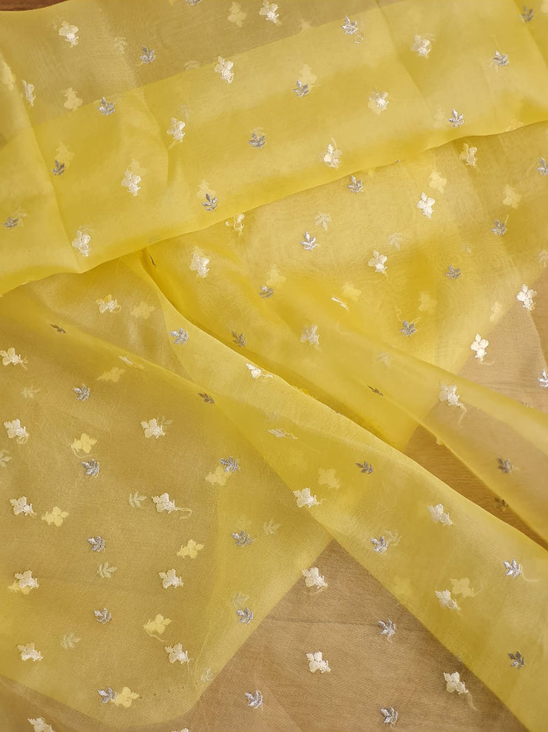 Pure Organza Silk Saree With velvet chikankari embroidery