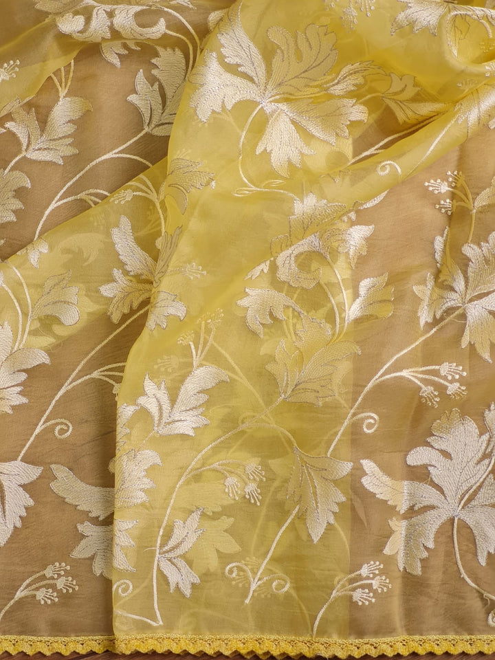 Pure Organza Silk Saree With velvet chikankari embroidery