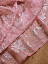 Pure Organza Silk Saree With velvet chikankari embroidery