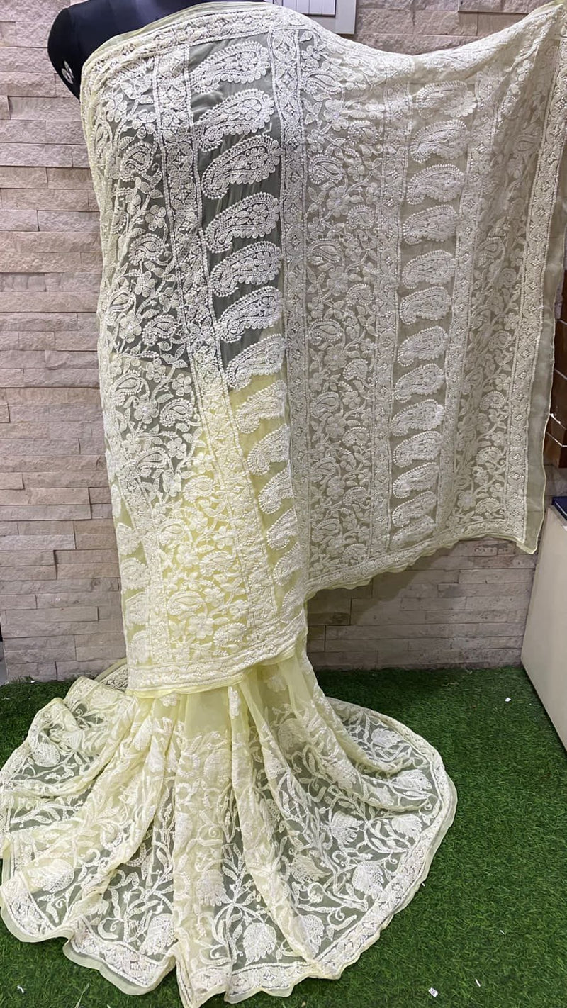 Pure Chiffon Georgette Chikankari Half Jaal Work Hand Embroidery Saree with Blouse.