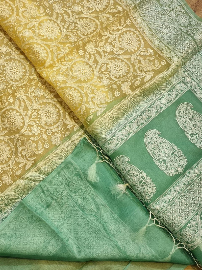 Pure Organza Chikankari Handwork Saree With Plain Blouse.