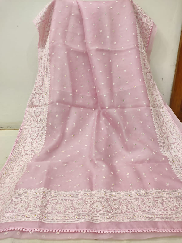 Pure Organza Silk Chikankari Embroidery Work  Saree .