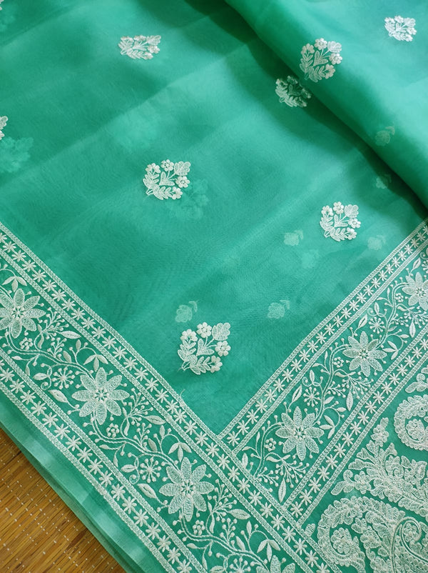 Pure Organza Silk Chikankari Embroidery Work  Saree .