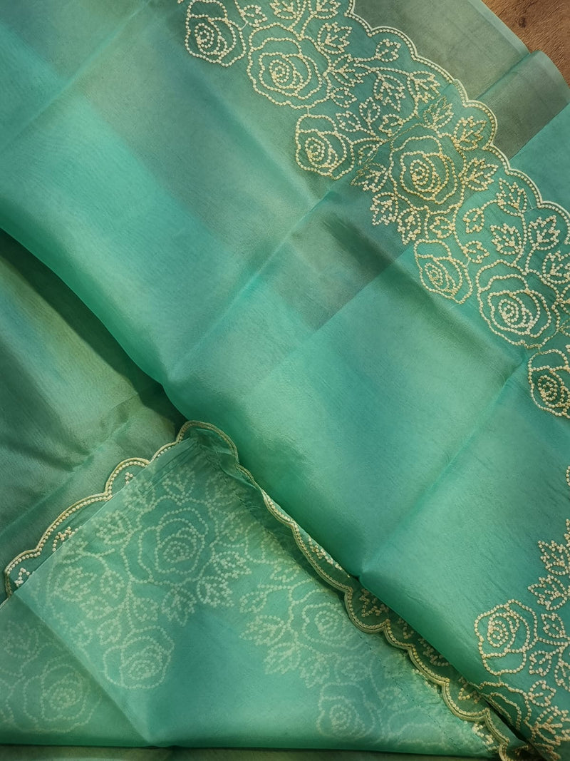 Pure Organza Silk Pearl Embroidery Cutwork Border Saree .