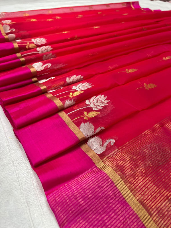 Pure Chanderi Handloom Silk by Silk Saree