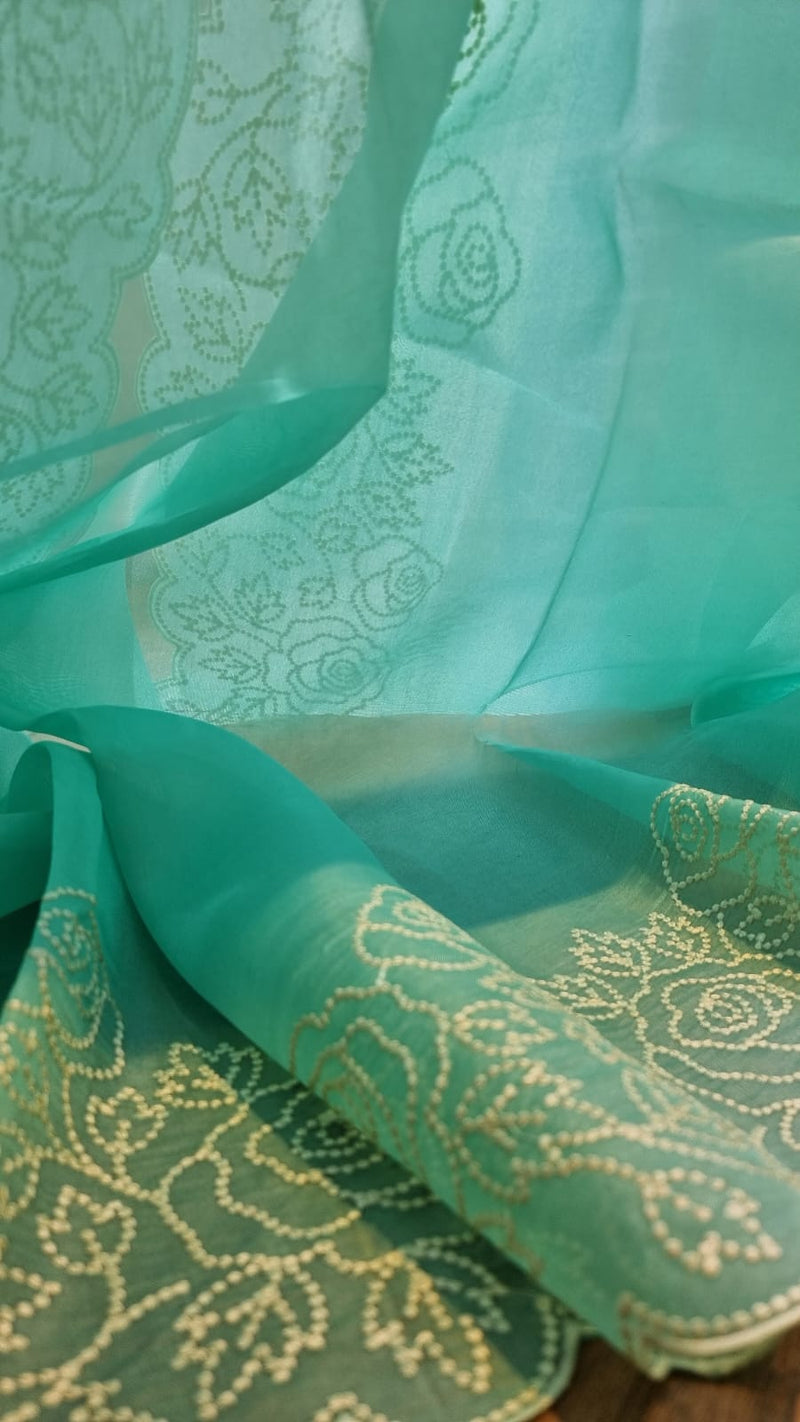 Pure Organza Silk Pearl Embroidery Cutwork Border Saree .