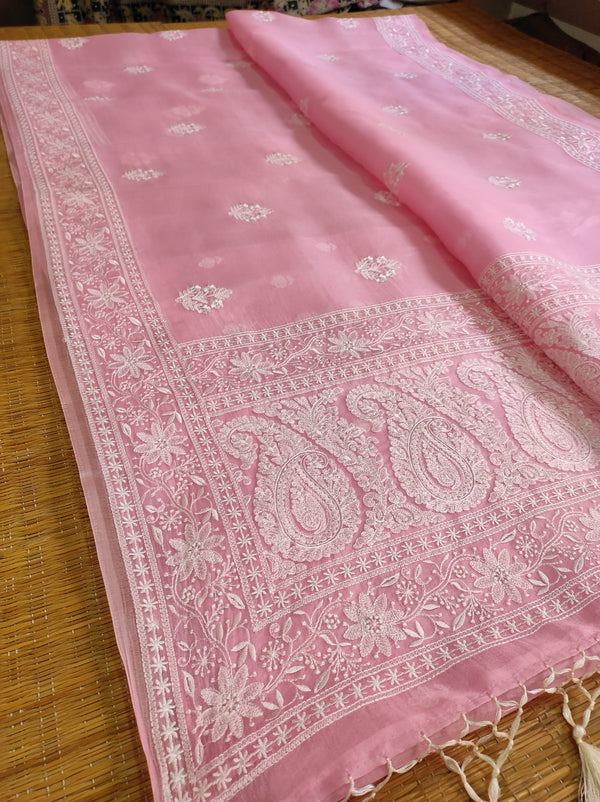 Pure Organza Silk Chikankari Embroidery Work  Saree .