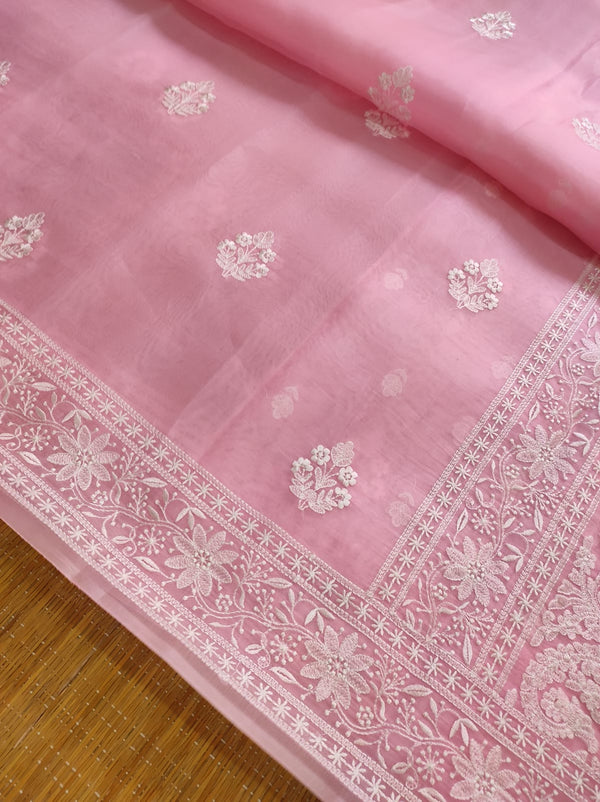 Pure Organza Silk Chikankari Embroidery Work  Saree .