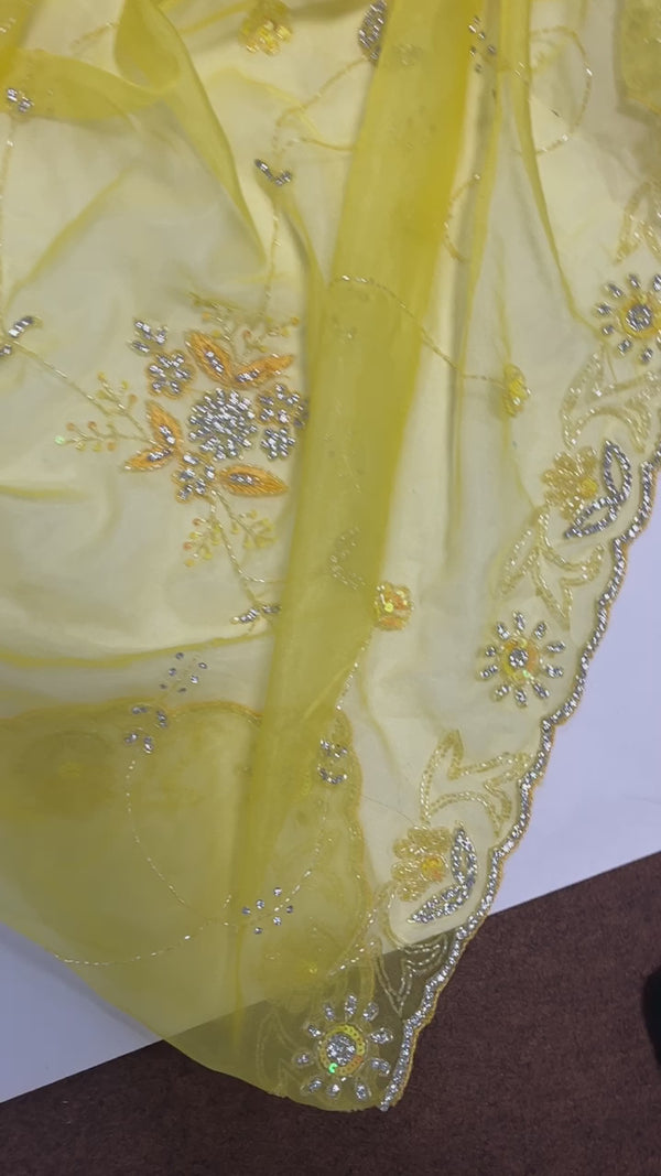 Pure Organza Silk Hand Full Zall  Work Saree With Running Blouse.