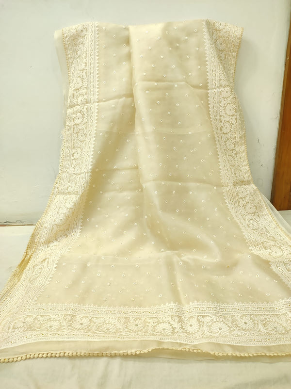 Pure Organza Silk Embroidery Buti Work Border Saree .