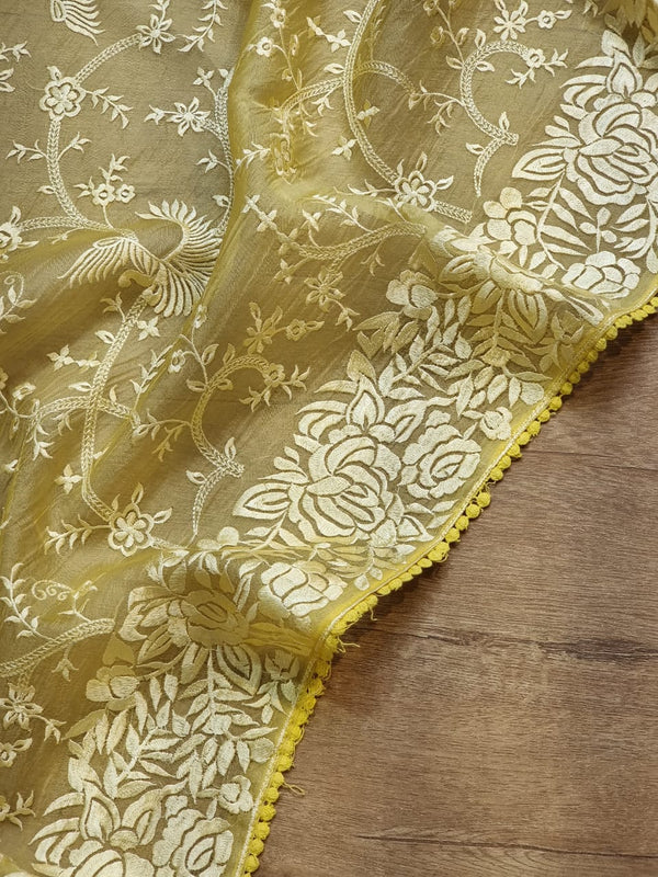 Pure Organza Silk Saree With Parsi Gaara Work.