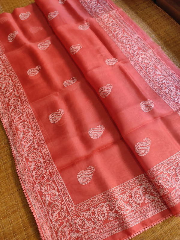 Pure Organza Silk Saree Kari Buit / Crochet Lace Work With Blouse.